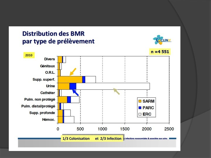 Urofrance | Qu'est-ce qu'une BLSE ? - Urofrance