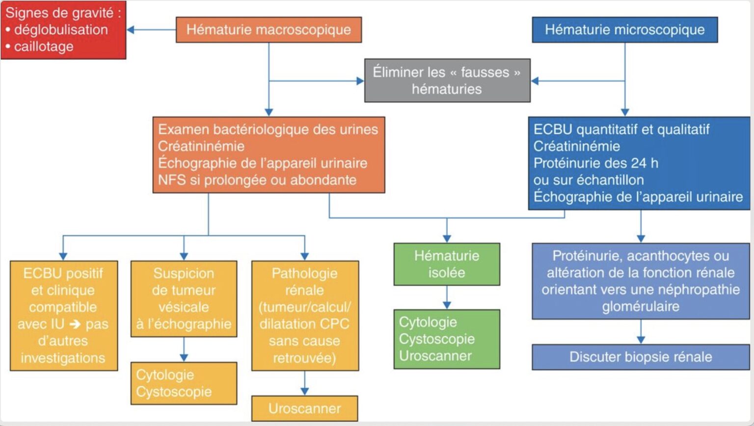 Urofrance CHAPITRE 13 Item 260 H maturie Urofrance Urofrance CHAPITRE 13 Item 260 H maturie Urofrance
